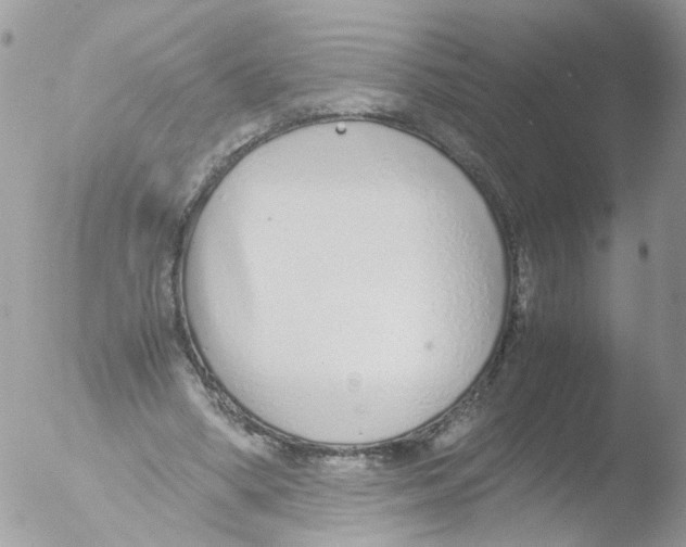 X0000051250394200507152155