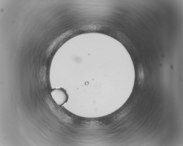 X0000051250396200507152155