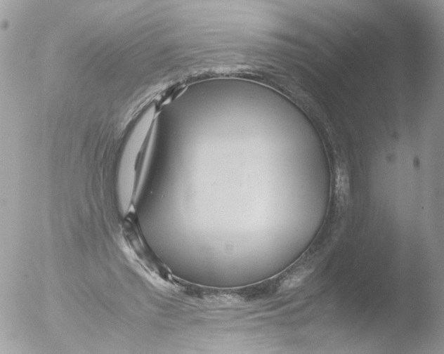 X0000051250397200507152155