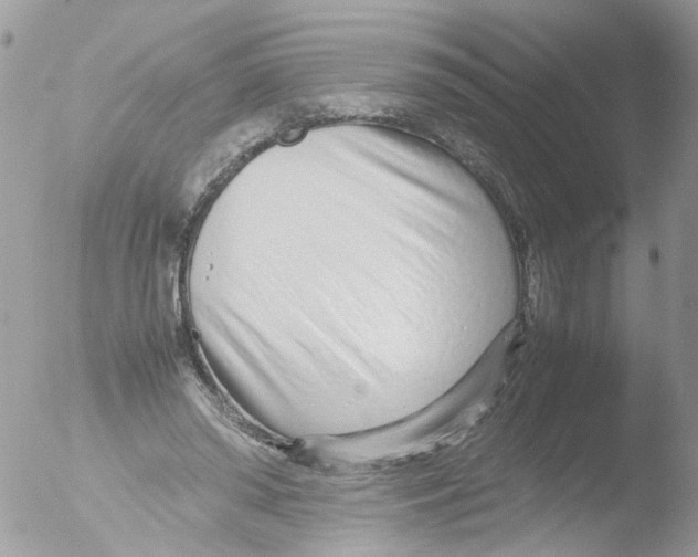 X0000051250398200507152155