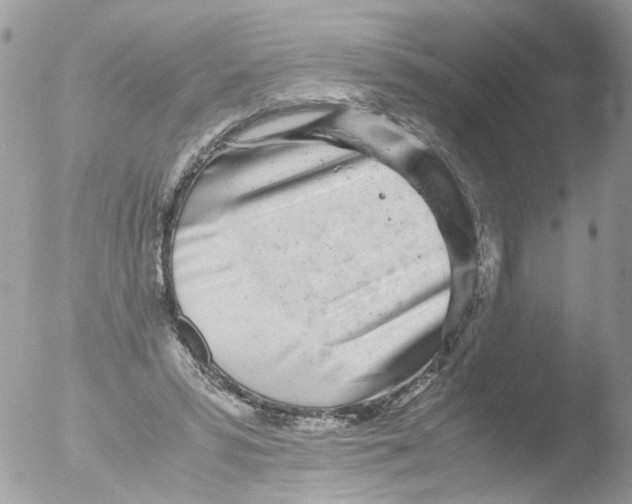 X0000051250399200507152155