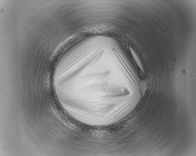 X0000051250400200507152155