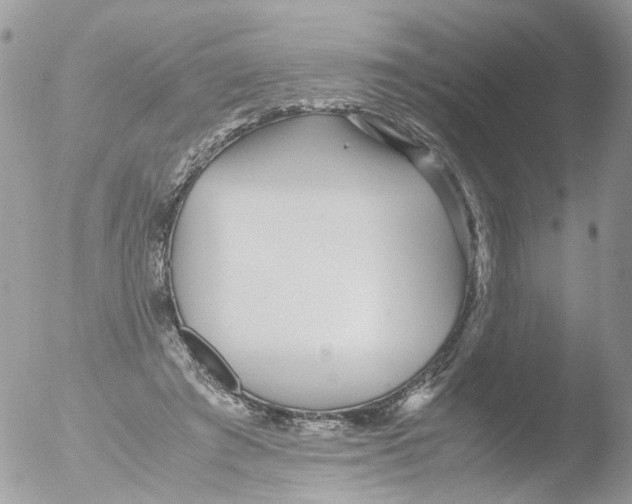 X0000051250401200507152155