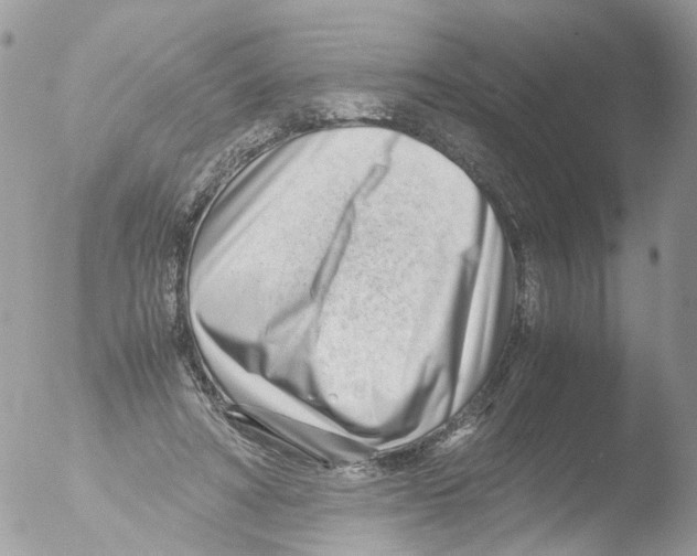 X0000051250402200507152155