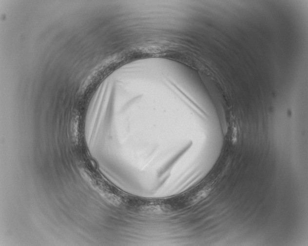 X0000051250404200507152155