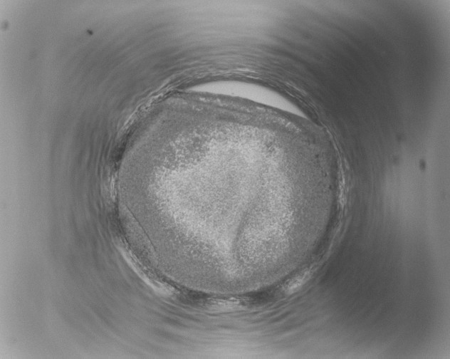 X0000051250405200507152155