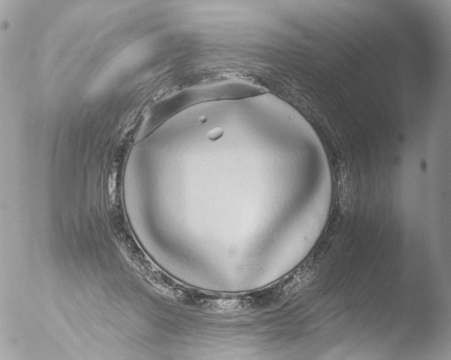 X0000051250406200507152155