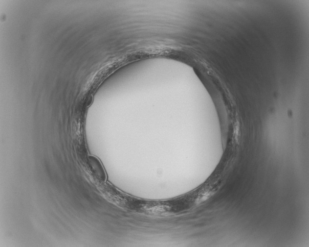 X0000051250407200507152155