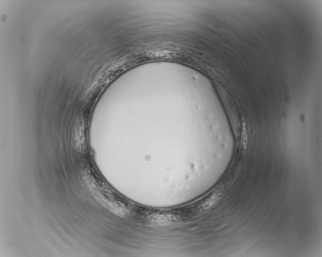 X0000051250408200507152155