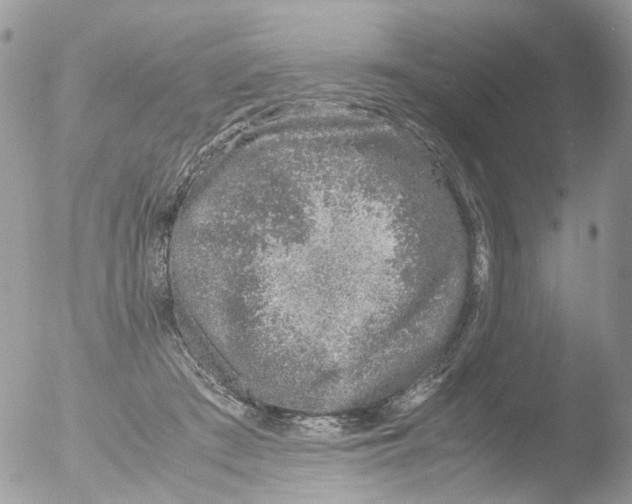 X0000051250409200507152155