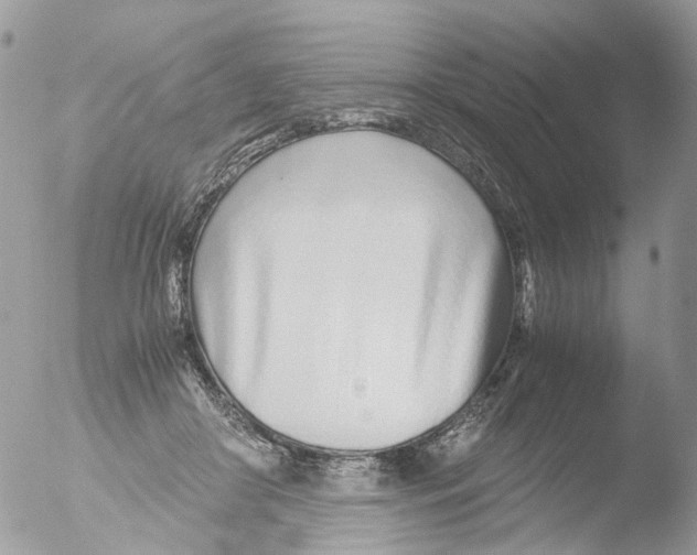 X0000051250410200507152155