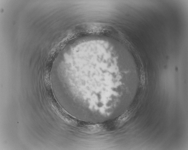 X0000051250411200507152155