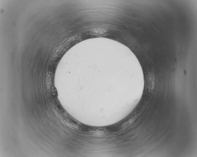 X0000051250412200507152154