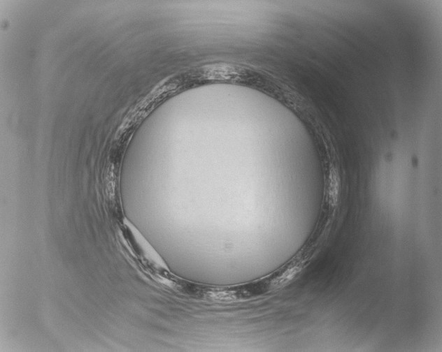 X0000051250413200507152154