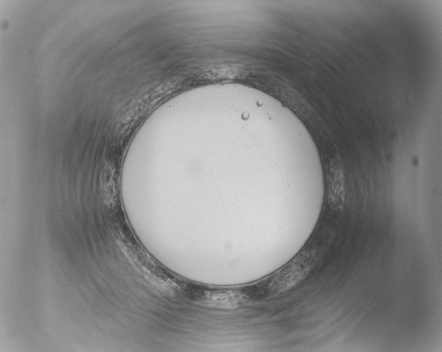 X0000051250414200507152154