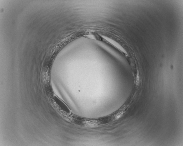 X0000051250417200507152154