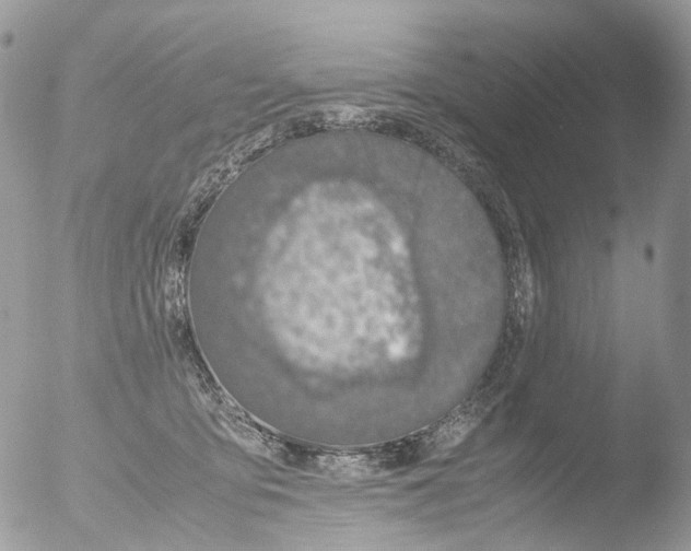 X0000051250419200507152154