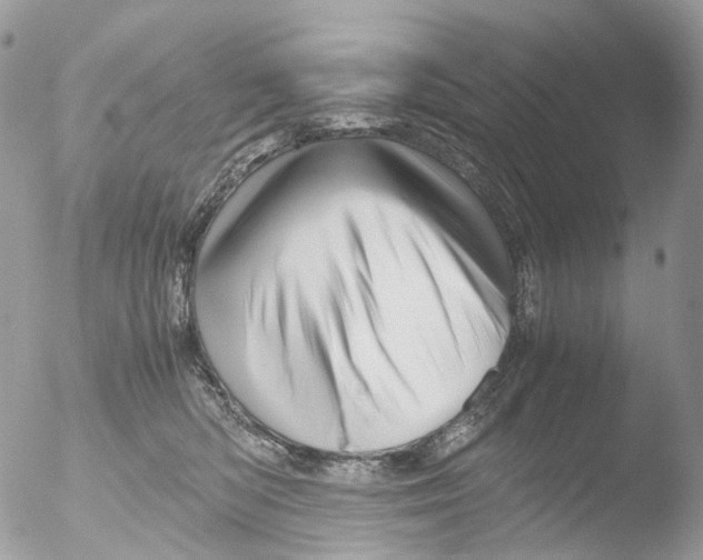 X0000051250422200507152154