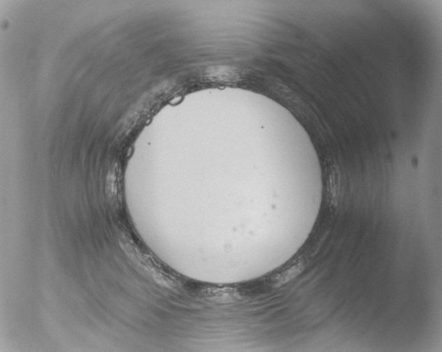 X0000051250424200507152154