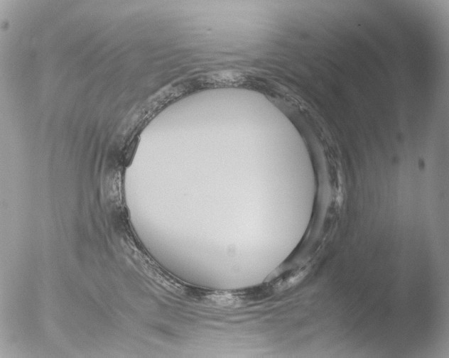 X0000051250425200507152154