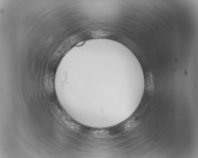 X0000051250426200507152154