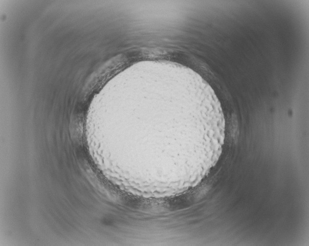 X0000051250427200507152154