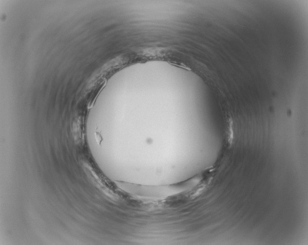 X0000051250428200507152154