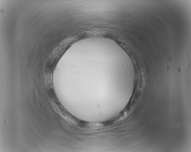 X0000051250429200507152154