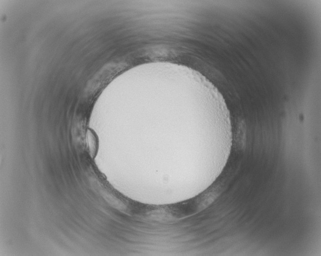 X0000051250430200507152154