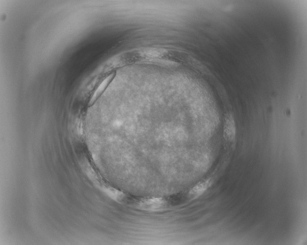 X0000051250431200507152154