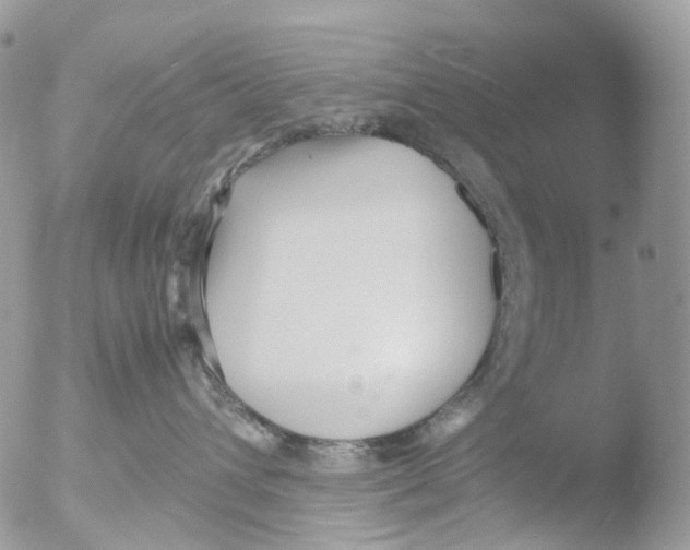 X0000051250432200507152154