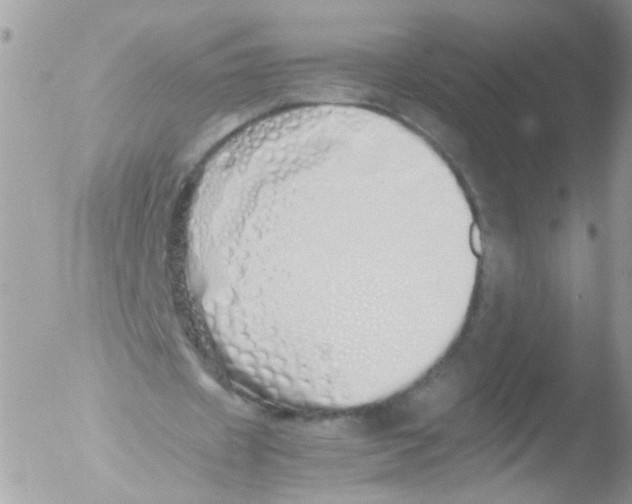 X0000051250433200507152153