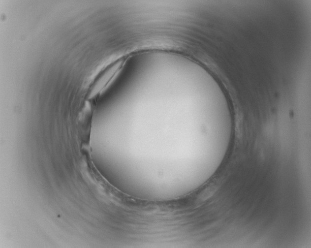 X0000051250434200507152153