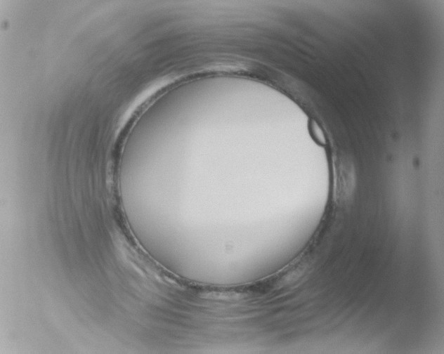 X0000051250435200507152153