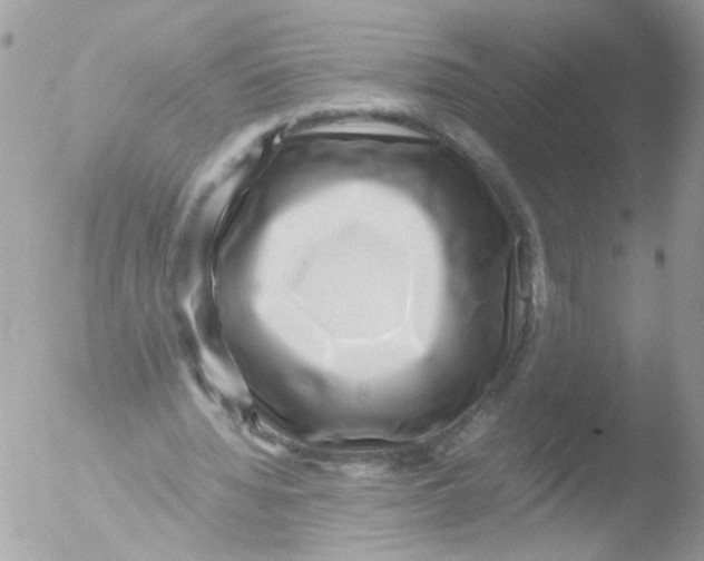 X0000051250436200507152153