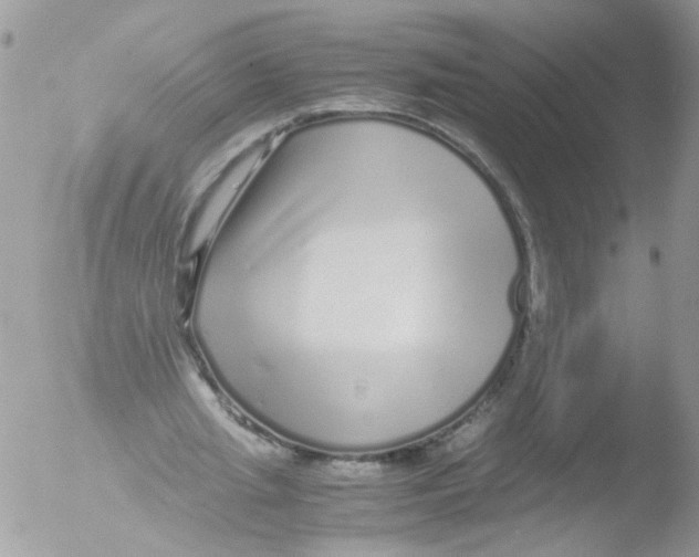 X0000051250437200507152153