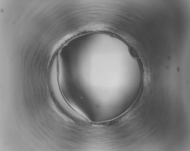 X0000051250438200507152153