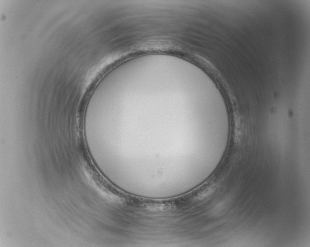 X0000051250439200507152153