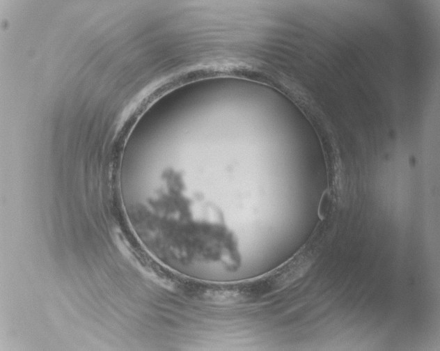 X0000051250440200507152153