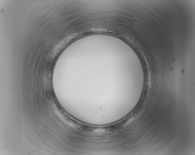 X0000051250441200507152153