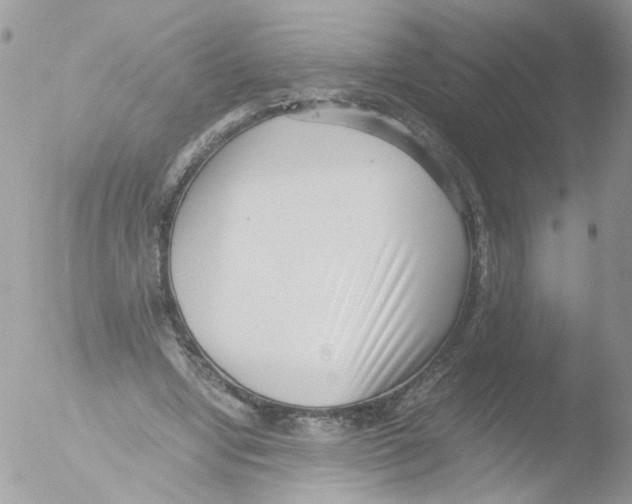 X0000051250442200507152154