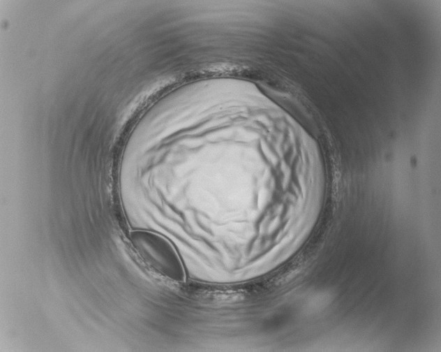 X0000051250443200507152154