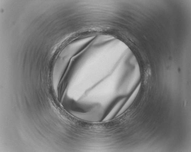 X0000051250444200507152154