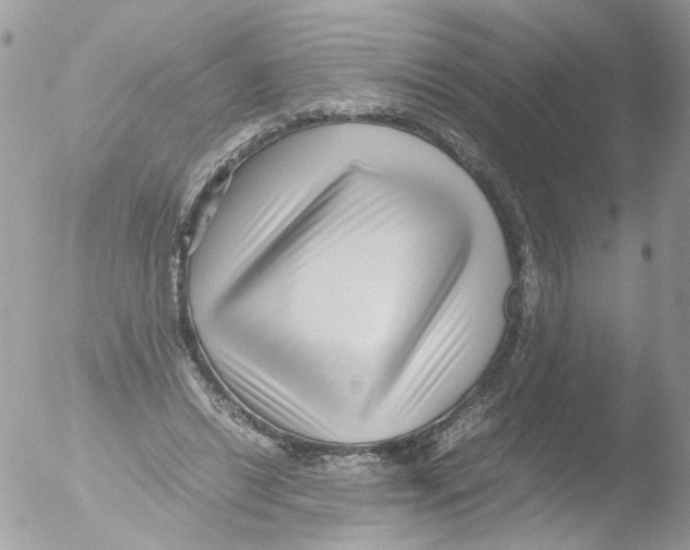 X0000051250446200507152154