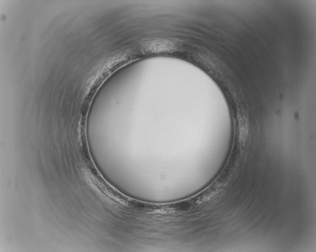 X0000051250447200507152154