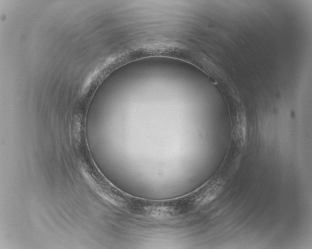 X0000051250448200507152154