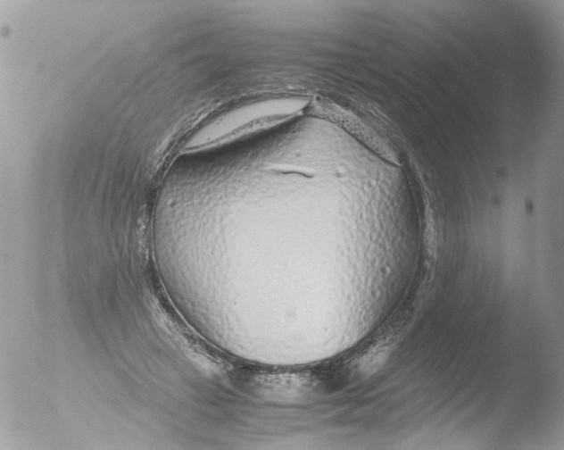 X0000051250449200507152154