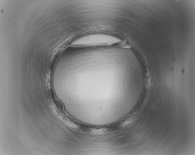 X0000051250450200507152154