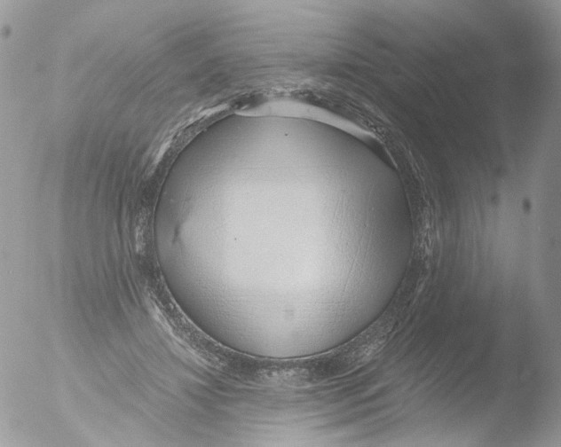 X0000051250452200507152154