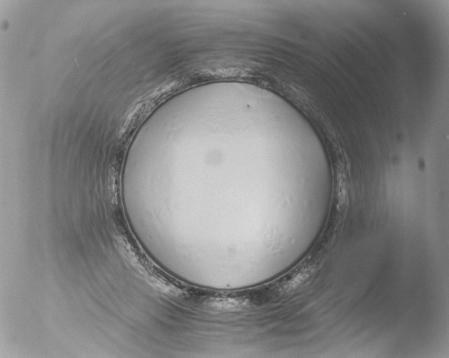 X0000051250453200507152154